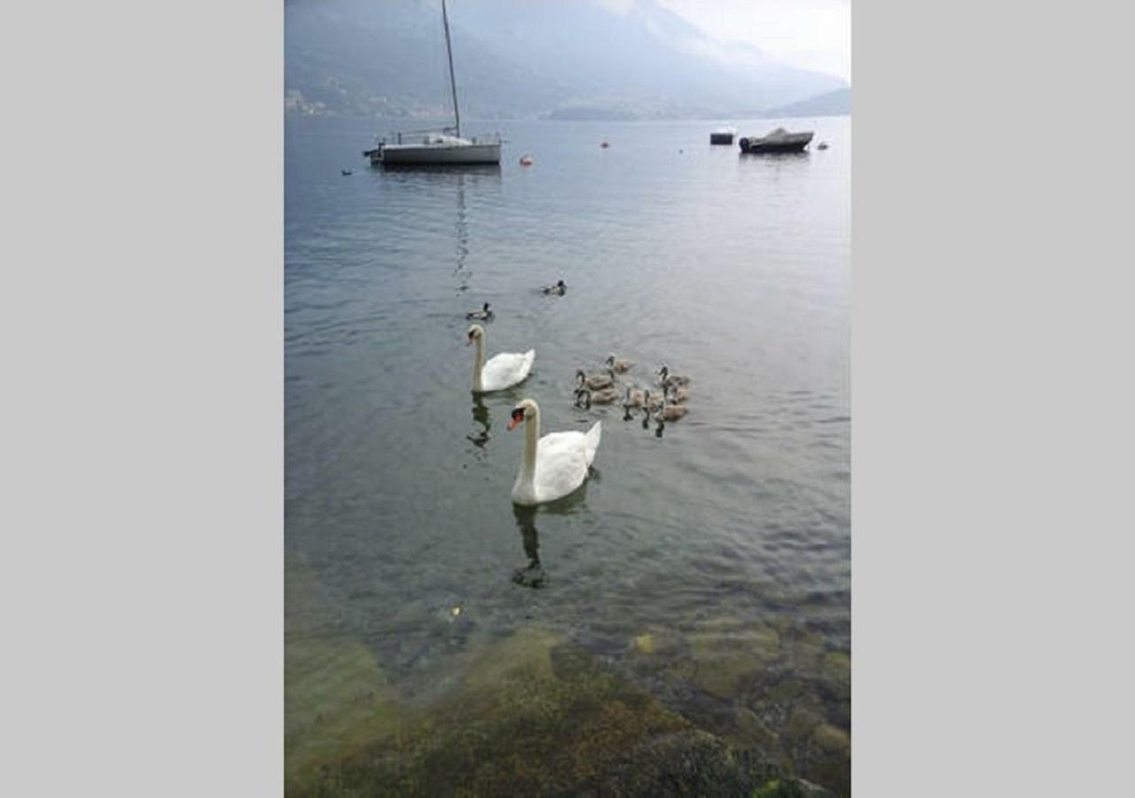 Appartamento Vista Lago - Mary Lezzeno Eksteriør billede